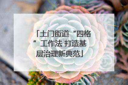 土门街道“四格”工作法 打造基层治理新典范