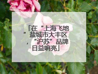 在“上海飞地”盐城市大丰区，“沪苏”品牌日益响亮