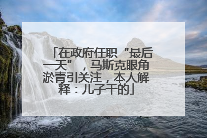 在政府任职“最后一天”，马斯克眼角淤青引关注，本人解释：儿子干的
