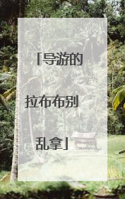 导游的拉布布别乱拿