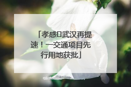 孝感⇋武汉再提速！一交通项目先行用地获批