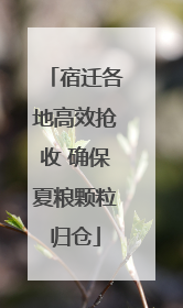 宿迁各地高效抢收 确保夏粮颗粒归仓