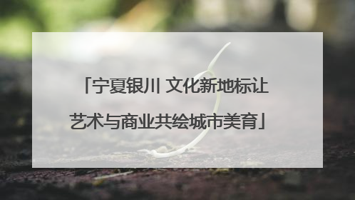 宁夏银川 文化新地标让艺术与商业共绘城市美育