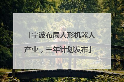 宁波布局人形机器人产业，三年计划发布