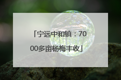宁远中和镇：7000多亩杨梅丰收