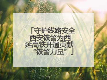 守护线路安全 西安铁警为西延高铁开通贡献“铁警力量”
