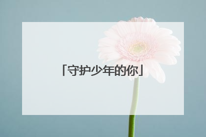 守护少年的你