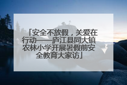 安全不放假，关爱在行动——庐江县同大镇农林小学开展暑假前安全教育大家访