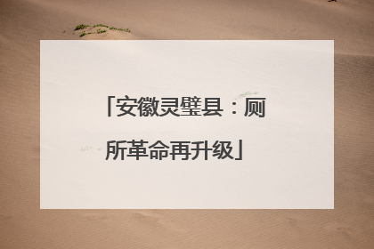 安徽灵璧县：厕所革命再升级