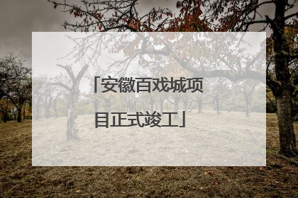 安徽百戏城项目正式竣工