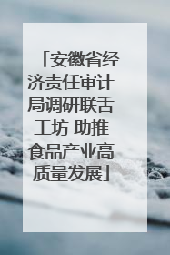 安徽省经济责任审计局调研联舌工坊 助推食品产业高质量发展