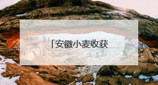 安徽小麦收获进度已过四成