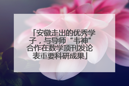安徽走出的优秀学子，与导师“韦神”合作在数学顶刊发论表重要科研成果