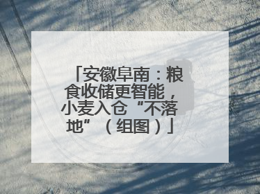 安徽阜南：粮食收储更智能，小麦入仓“不落地”（组图）