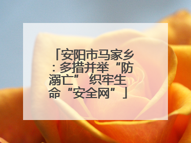 安阳市马家乡：多措并举“防溺亡” 织牢生命“安全网”