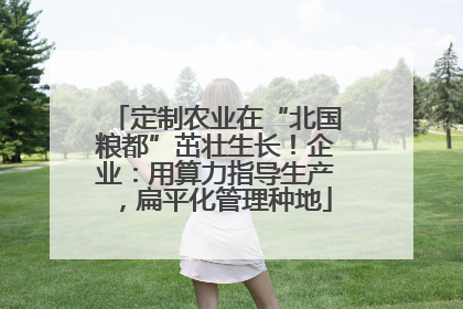 定制农业在“北国粮都”茁壮生长！企业：用算力指导生产，扁平化管理种地