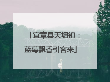 宜章县天塘镇：蓝莓飘香引客来