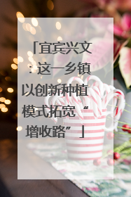 宜宾兴文：这一乡镇以创新种植模式拓宽“增收路”