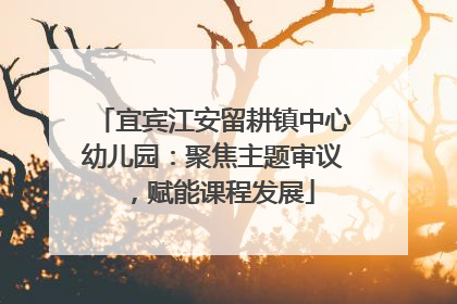 宜宾江安留耕镇中心幼儿园：聚焦主题审议，赋能课程发展