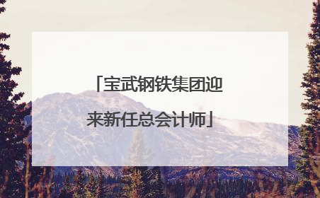 宝武钢铁集团迎来新任总会计师