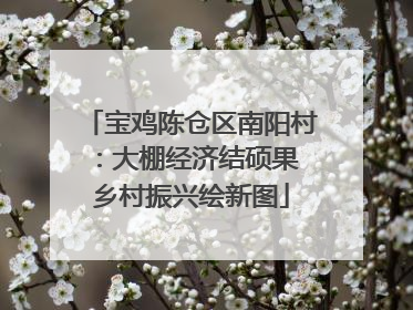 宝鸡陈仓区南阳村：大棚经济结硕果 乡村振兴绘新图