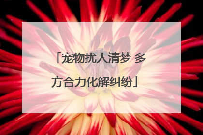 宠物扰人清梦 多方合力化解纠纷