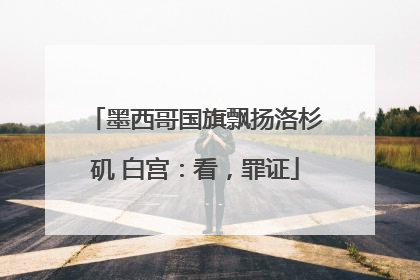 墨西哥国旗飘扬洛杉矶 白宫：看，罪证