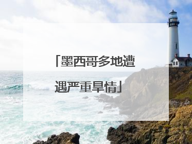 墨西哥多地遭遇严重旱情