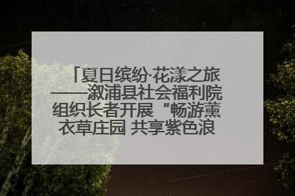 夏日缤纷·花漾之旅——溆浦县社会福利院组织长者开展“畅游薰衣草庄园 共享紫色浪漫”户外活动