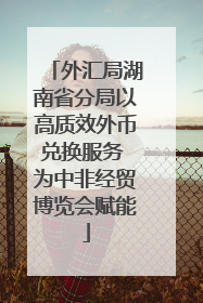 外汇局湖南省分局以高质效外币兑换服务 为中非经贸博览会赋能