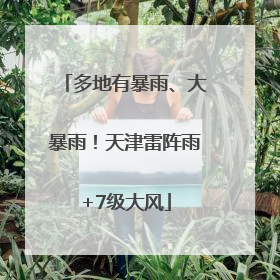多地有暴雨、大暴雨！天津雷阵雨+7级大风