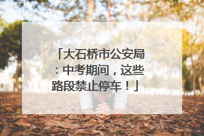 大石桥市公安局：中考期间，这些路段禁止停车！