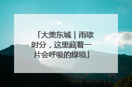 大美东城｜雨歇时分，这里藏着一片会呼吸的绿境
