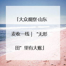 大众观察·山东麦收一线｜“无形田”里有大账