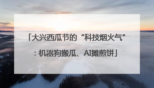 大兴西瓜节的“科技烟火气”：机器狗搬瓜、AI摊煎饼