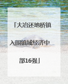 大冶还地桥镇入围镇域经济中部16强
