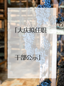 大庆拟任职干部公示