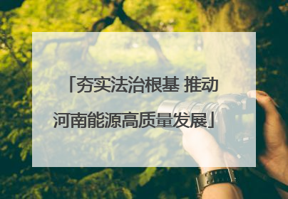 夯实法治根基 推动河南能源高质量发展