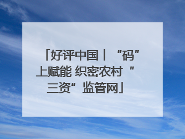 好评中国丨“码”上赋能 织密农村“三资”监管网