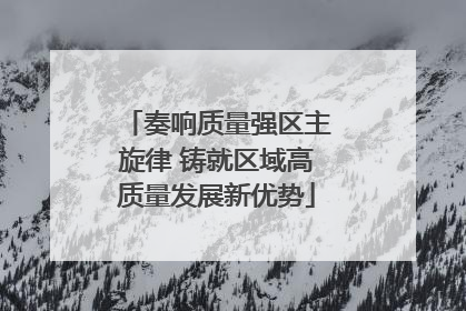奏响质量强区主旋律 铸就区域高质量发展新优势