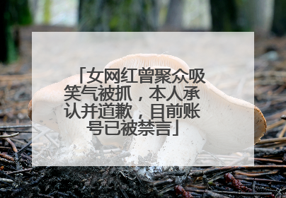 女网红曾聚众吸笑气被抓，本人承认并道歉，目前账号已被禁言