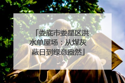 娄底市娄星区洪水单屋场：从煤灰蔽日到绿意盎然