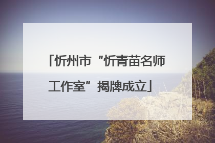 忻州市“忻青苗名师工作室”揭牌成立