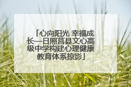 心向阳光 幸福成长—日照莒县文心高级中学构建心理健康教育体系掠影