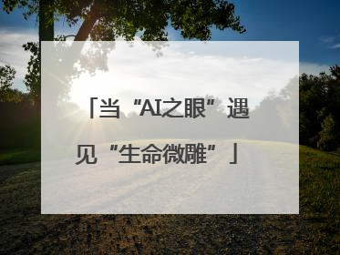 当“AI之眼”遇见“生命微雕”