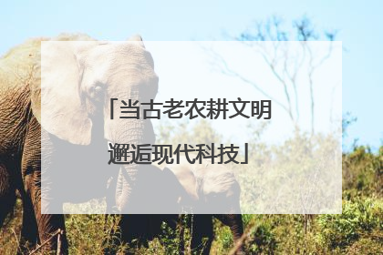 当古老农耕文明邂逅现代科技