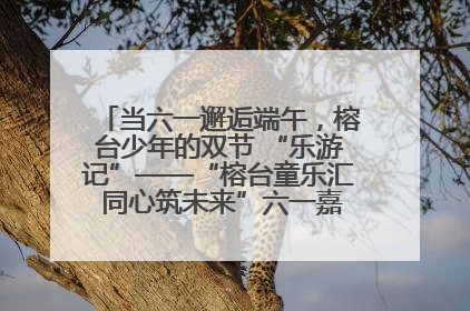 当六一邂逅端午，榕台少年的双节 “乐游记”——“榕台童乐汇 同心筑未来”六一嘉年华活动顺利举行