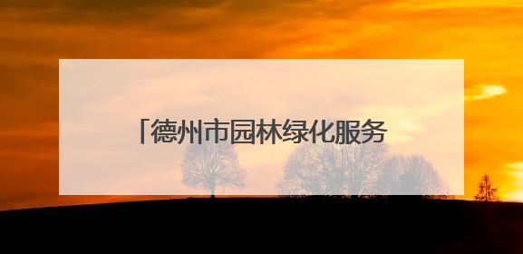 德州市园林绿化服务中心：抗旱、修剪、防治，精细养护保绿荫