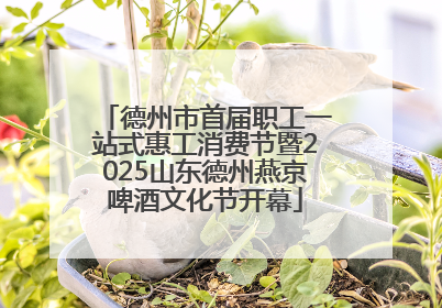 德州市首届职工一站式惠工消费节暨2025山东德州燕京啤酒文化节开幕
