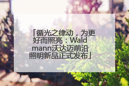 循光之律动，为更好而照亮：Waldmann沃达迈前沿照明新品正式发布